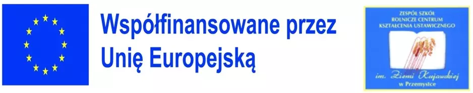 Logo Unia Europejska